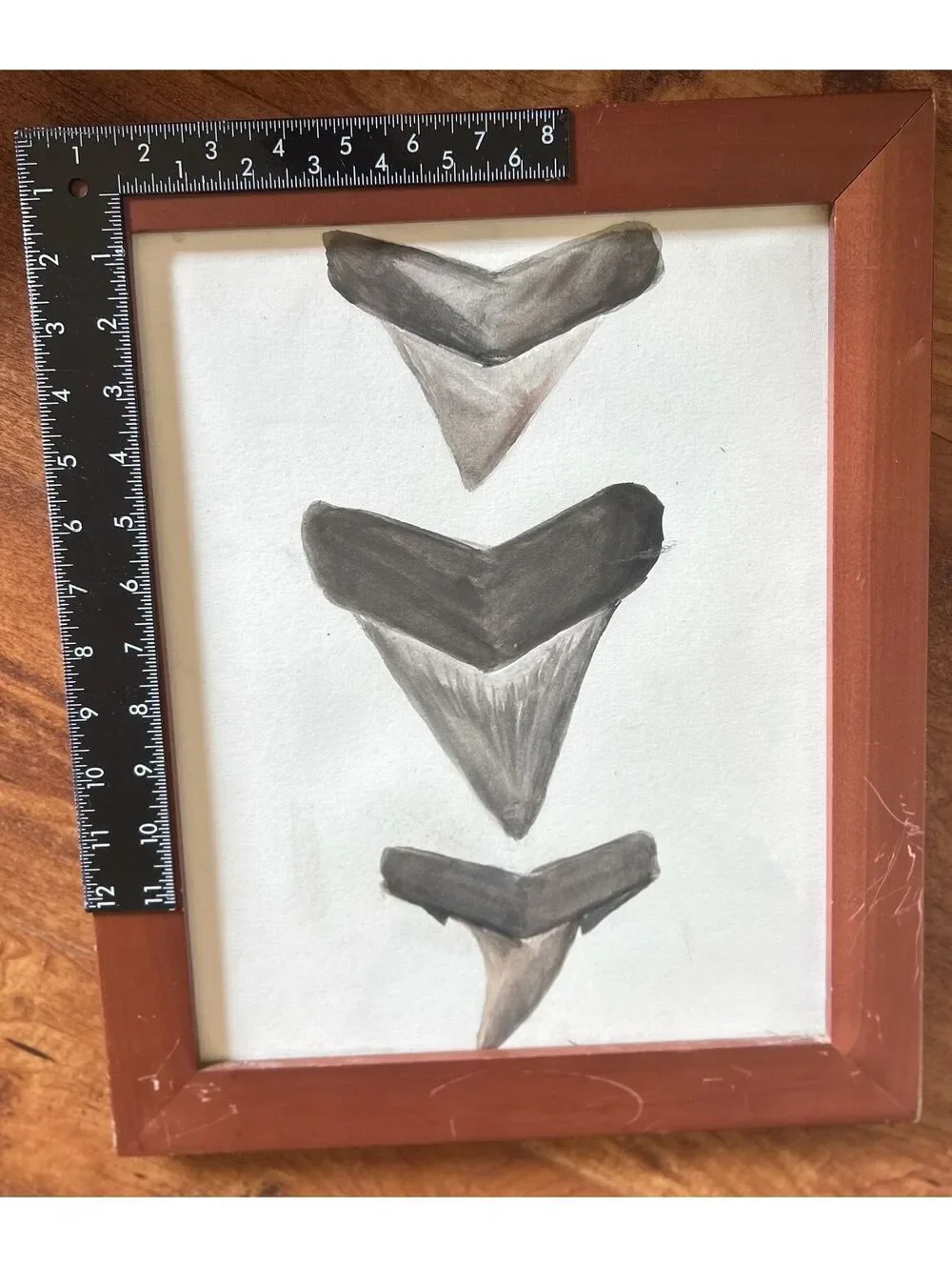 Framed Shark Teeth Art Painting with Wooden Frame